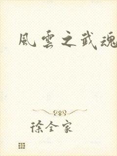 风云之武魂