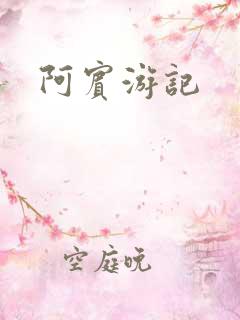 阿宾游记