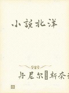 小说北洋