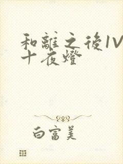 和离之后1V1十夜灯