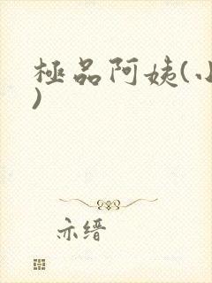 极品阿姨(小说)