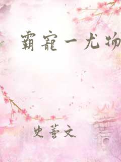 霸宠一尤物老婆