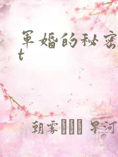 军婚的秘密txt
