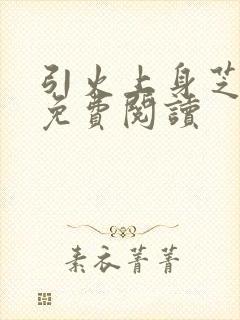 引火上身芝麻糖免费阅读