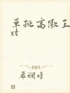 单挑高傲王子txt