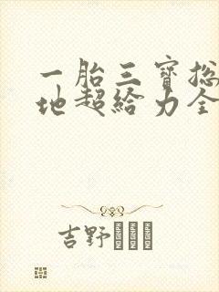 一胎三宝总裁爹地超给力全文免费阅读