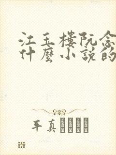 江玉楼阮念笙是什么小说的名字