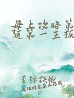 母上攻略第竹影随第一主板网