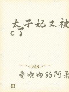 太子妃又被皇帝c了