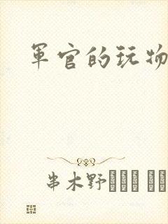 军官的玩物