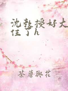 沈教授好大含不住了h