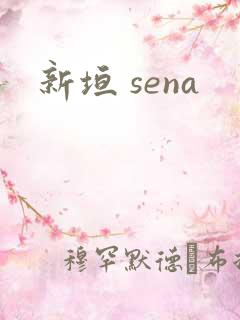 新垣 sena