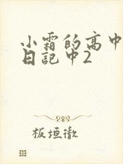小霜的高中成长日记中2