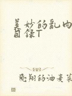 美妙的乱肉沉沦目录T