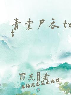 青囊尸衣 txt
