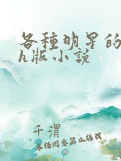 各种明星的综艺h版小说