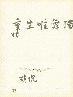 重生唯舞独尊txt