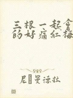 三根一起会坏掉的好痛红梅