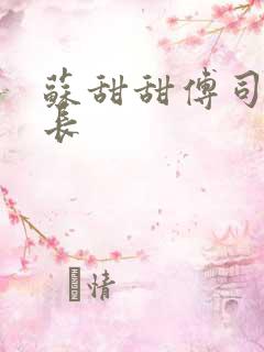 苏甜甜傅司衍机长