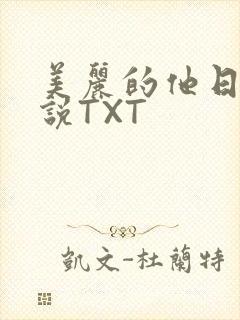 美丽的他日剧小说TXT