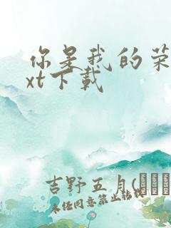 你是我的荣耀txt下载