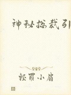 神秘总裁引入怀