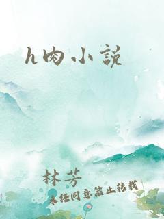 h肉小说