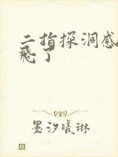 二指探洞感觉要飞了