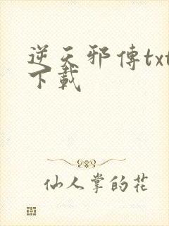 逆天邪传txt下载