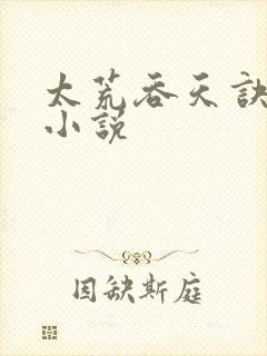 太荒吞天诀免费小说