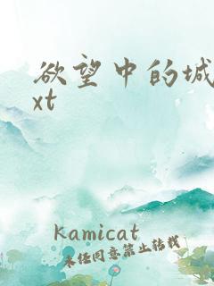 欲望中的城市txt