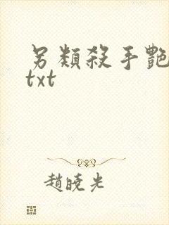 另类杀手艳福星txt