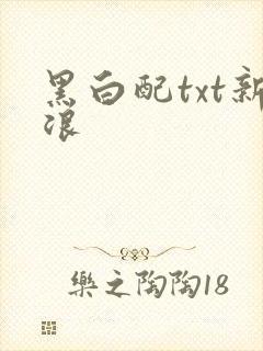 黑白配txt新浪
