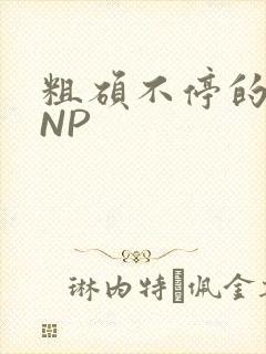 粗硕不停的进出NP