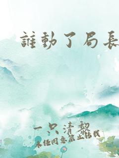 谁动了局长夫人