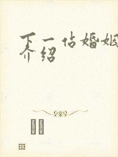 下一站婚姻剧情介绍