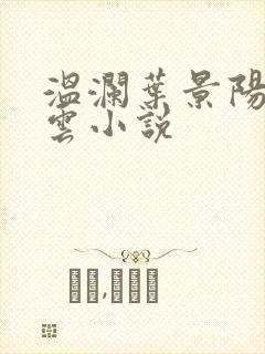 温澜叶景阳温云云小说