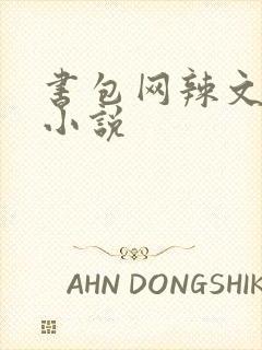 书包网辣文全本小说