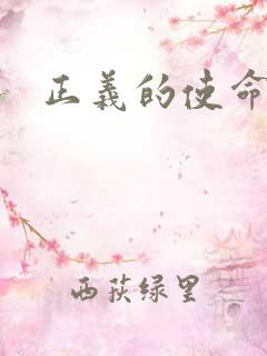 正义的使命小说