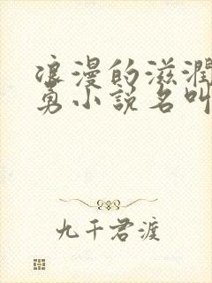 浪漫的滋润刘大勇小说名叫什么?