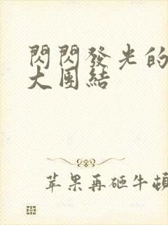 闪闪发光的小说大团结