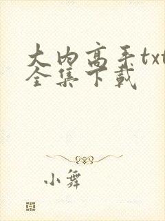 大内高手txt全集下载