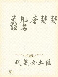 叶凡唐楚楚的小说名