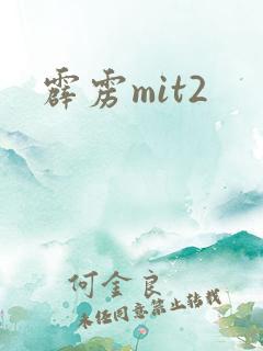 霹雳mit2