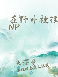 在野外被很多人NP