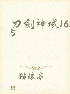 刀剑神域16.5