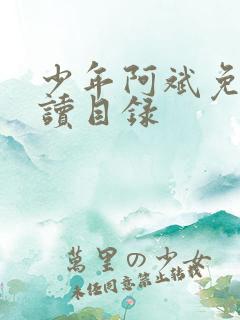 少年阿斌免费阅读目录