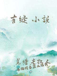 有缝 小说