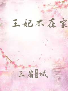 王妃不在家