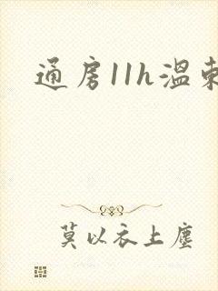 通房11h温东